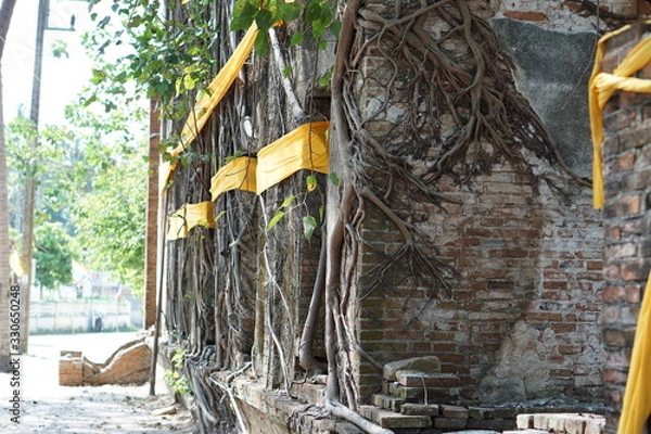Obraz temple in thailand