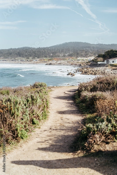 Obraz Path to the Beach