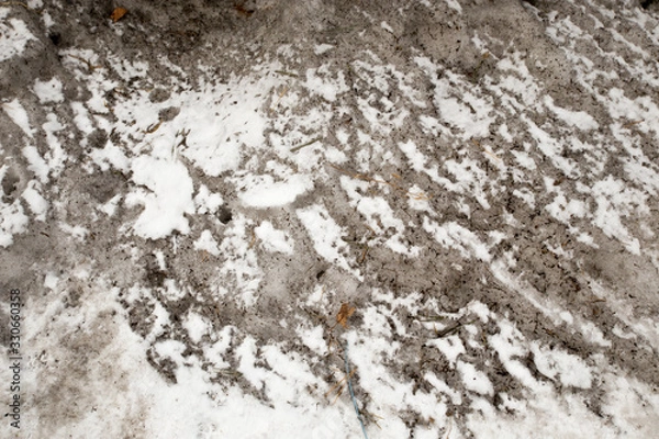 Fototapeta Dirty snow spring background. Old and dirty snow texture. Natural background. Snow mixed with coal soot, poor ecology. Environmental pollution.