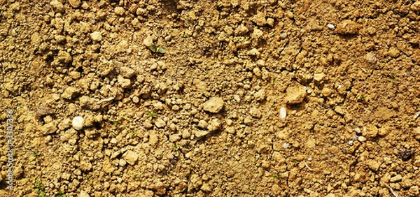 Obraz dry soil texture