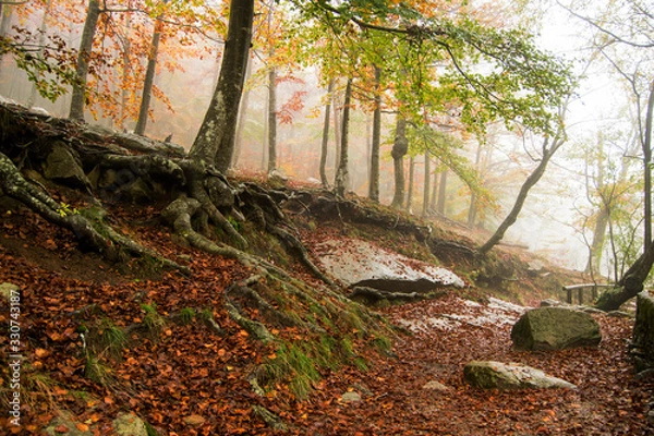 Obraz Montseny
