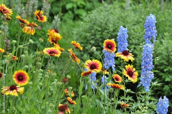 Obraz Blumen im Garten