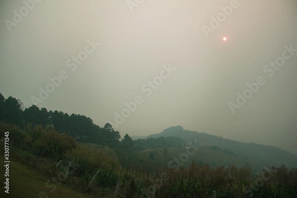 Obraz The sunset in the evening and full of haze from burning forests