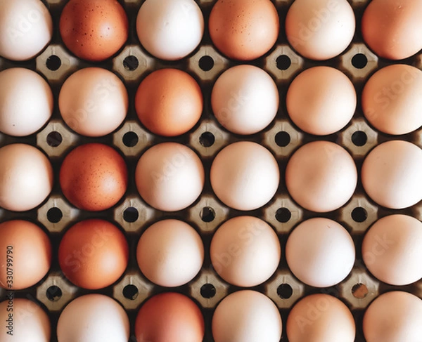 Obraz Raw eggs background.