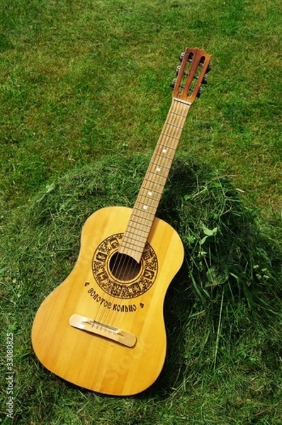 Obraz gitara na trawie