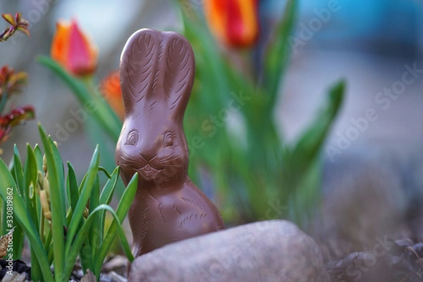 Fototapeta Close up of choco rabbit as an easter, sweets and confectionery concept - chocolate bunny or Easter bunny in the garden bed with blurred colorful tulips in the background, easter bunny