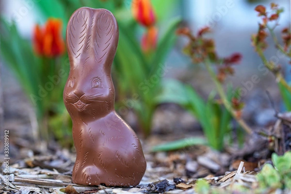 Fototapeta Close up of choco rabbit as an easter, sweets and confectionery concept - chocolate bunny or Easter bunny in the garden bed with blurred colorful tulips in the background, easter bunny