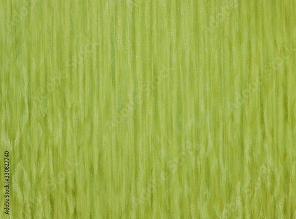 Obraz Green summer relief chaotic background