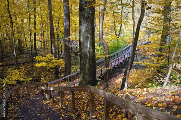 Fototapeta A boardwalk and bridge winds it's way through the autumn woods and across the Galien River at Warren Woods State Park near Three Oaks, Michigan.