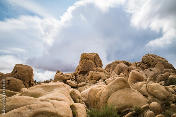 Obraz Joshua Tree Rocks