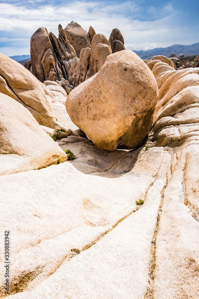 Fototapeta Joshua Tree Rocks