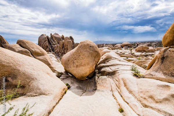 Obraz Joshua Tree Rocks