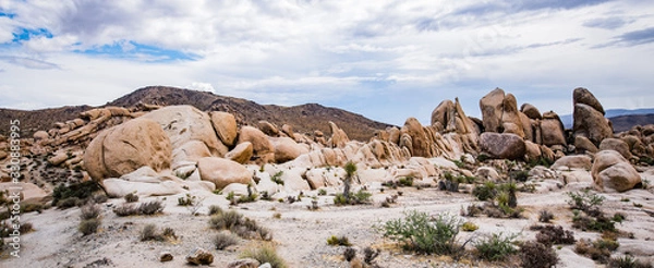 Fototapeta Panorama Rocks Joshua Tree