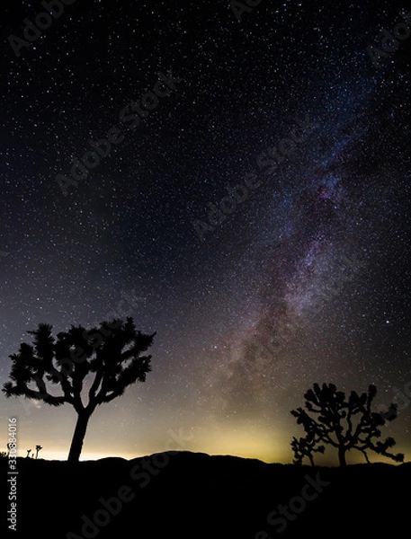 Obraz Joshua Tree Milky Way