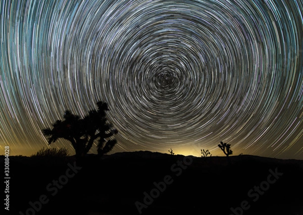 Obraz Joshua Tree Star Trail