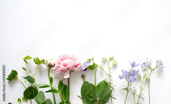 Obraz 並んだお花たち