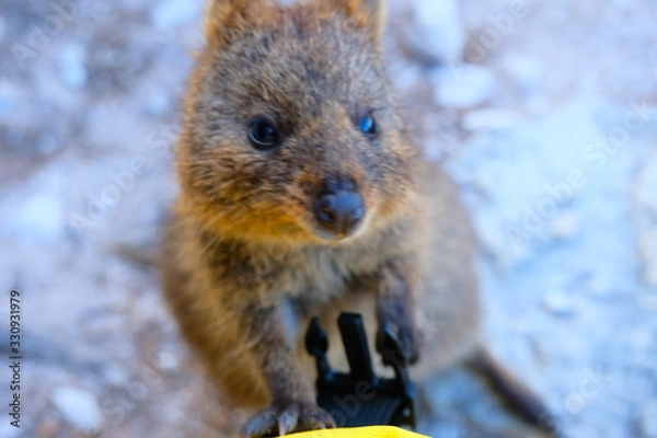 Obraz Perth, Adelaide