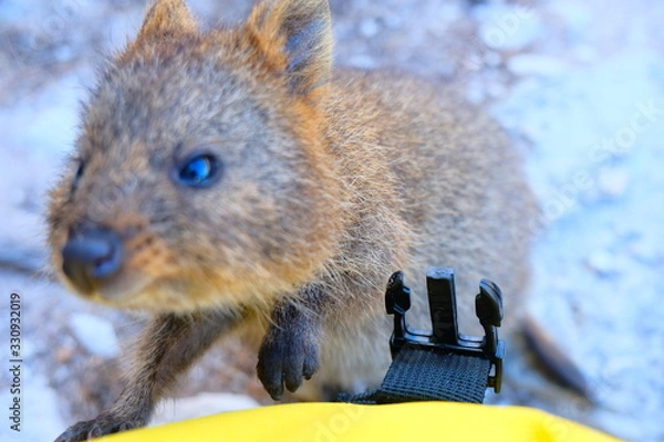 Obraz Perth, Adelaide