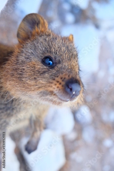 Obraz Perth, Adelaide