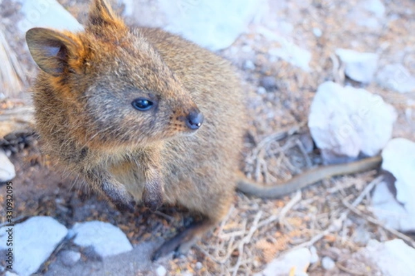 Obraz Perth, Adelaide