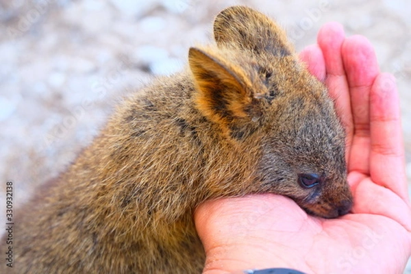 Obraz Perth, Adelaide