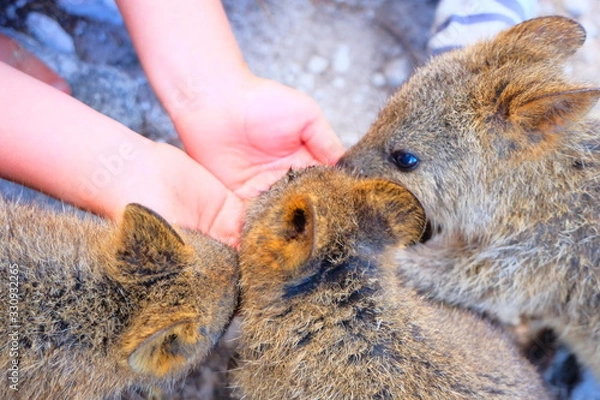 Obraz Perth, Adelaide