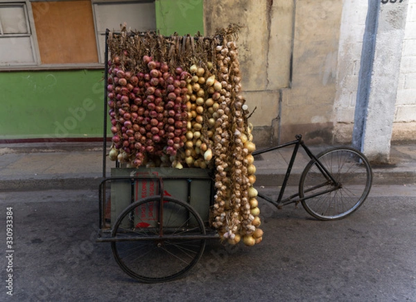 Obraz charette oignons