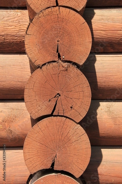 Obraz Фрагмент бревенчатой стены