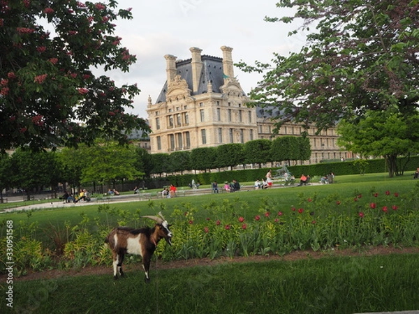 Fototapeta OLYMPUS DIGITAL CAMERA