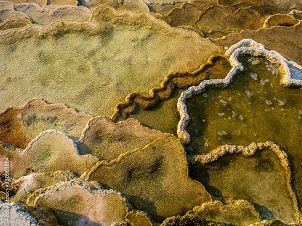 Fototapeta mammoth hot springs yellowstone national park 