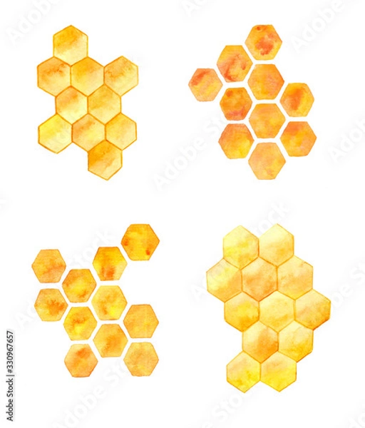 Obraz Honeycombs isolated on white background