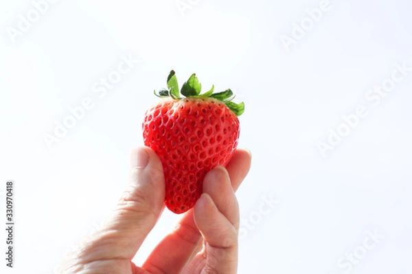Obraz 手に持った大きな苺