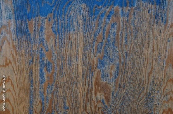 Obraz old wood texture background