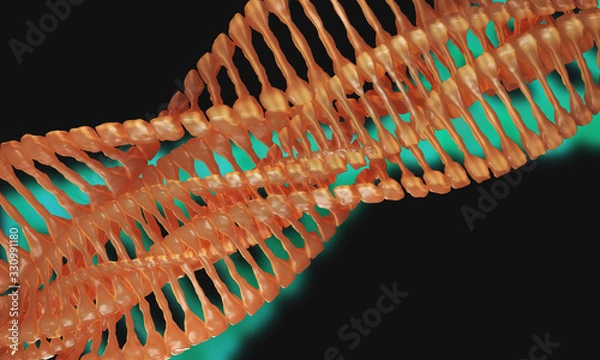 Fototapeta Digital scifi 3d model of DNA structure,3d Rendering 