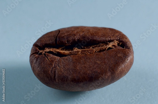 Obraz coffee grain on a blue background