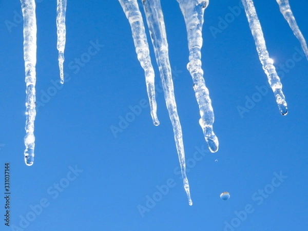 Obraz Melting icicles against the blue spring sky.