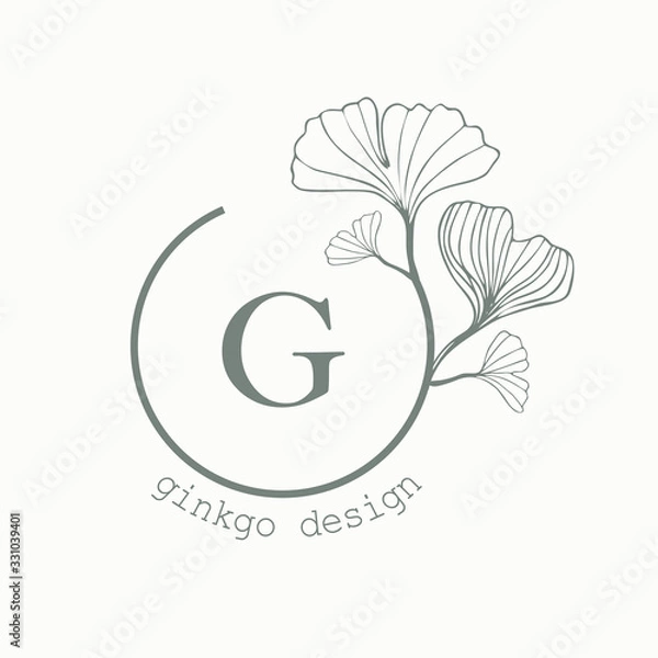 Obraz Medicinal ginkgo biloba leaves green icon in trendy hand-drawn style, isolated vector round logo natural. 