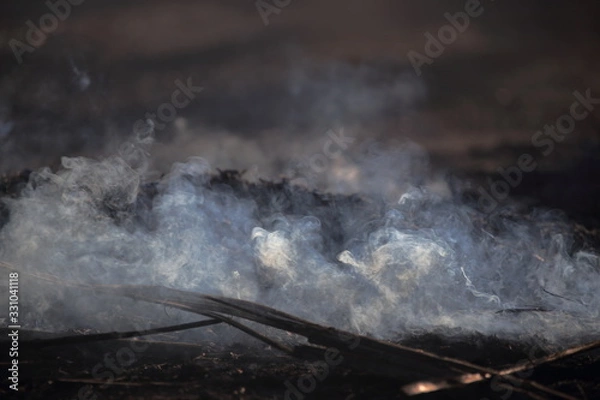 Fototapeta たき火