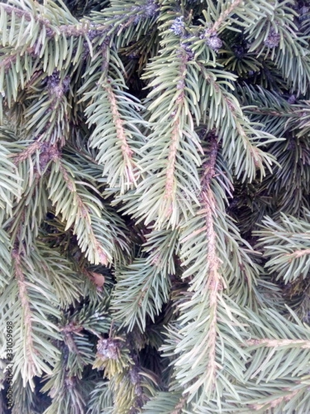 Obraz christmas tinsel