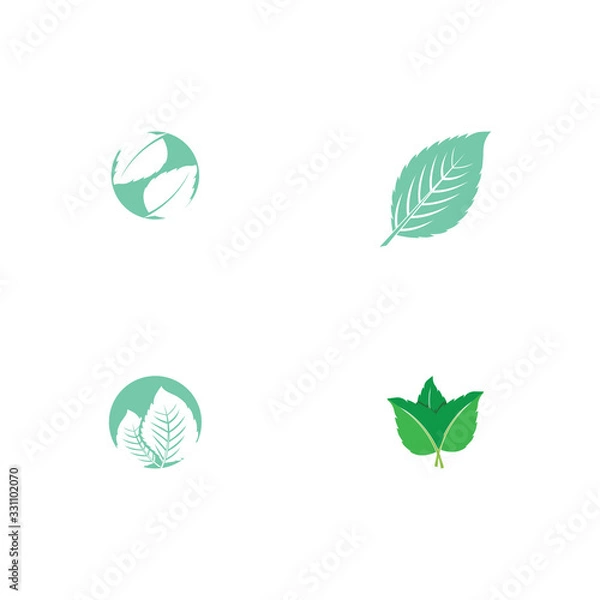 Fototapeta Set Leaf Mint Logo Template vector