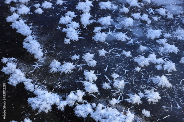Fototapeta フロストフラワー　厳冬　寒い朝　結晶　氷