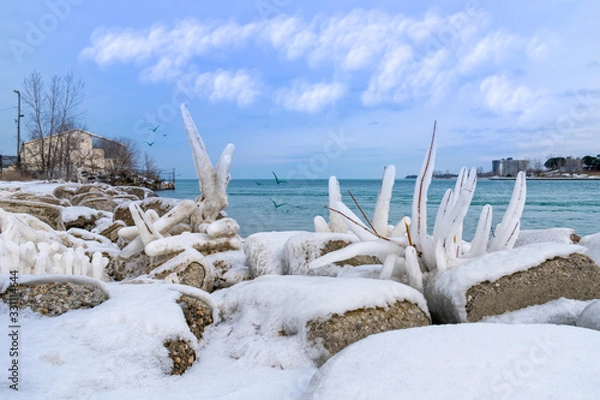 Obraz Frozen winter landscape