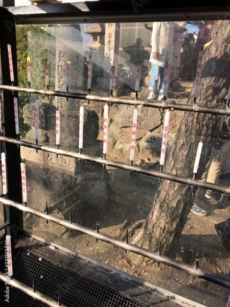 Obraz 日本の神社や寺院