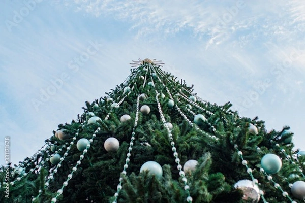 Obraz christmas tree 