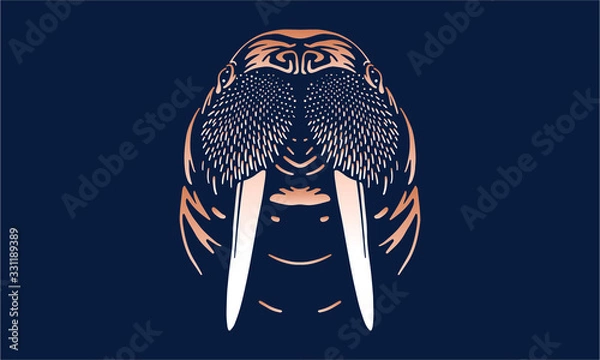 Obraz walrus isolated