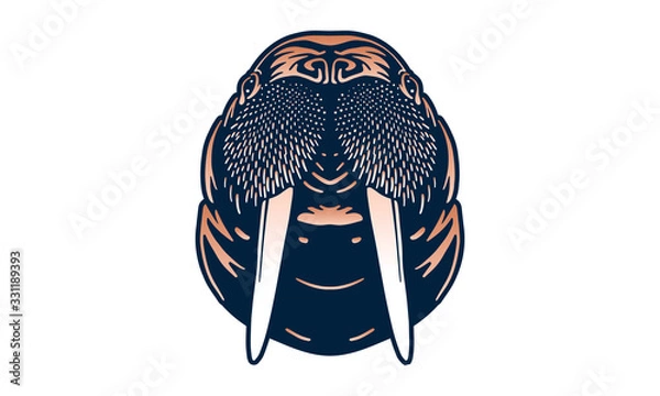 Obraz walrus isolated