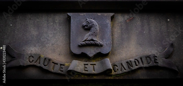 Obraz Dragon head with latin words