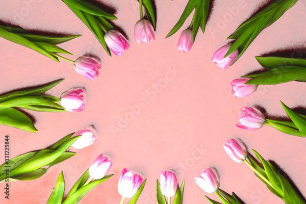 Obraz pink tulip flowers frame, copy space