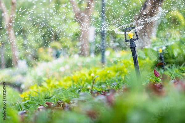 Fototapeta Amazing nature view of sprinkler on blurred greenery background in garden and sunlight with copy space using as background natural green plants landscape, ecology, fresh wallpaper concept.