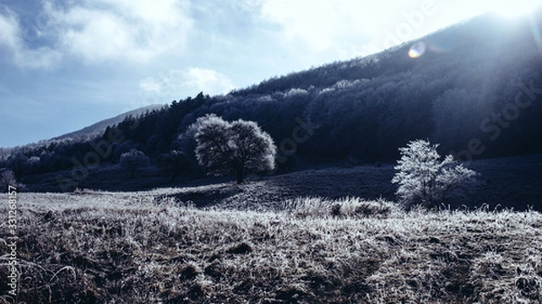 Fototapeta mountains in winter